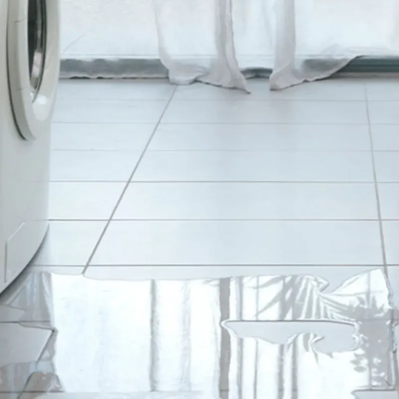 Appliance Leak Cleanup in Macon, MO